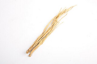 老人情人节文案(老年人情人节文案)