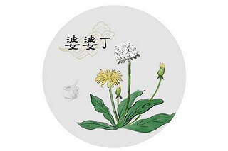 早春呈水部张十八员外韩愈的诗原文赏析及翻译_亲宝诗歌诵读《早春呈水部张十八员外》唐韩愈