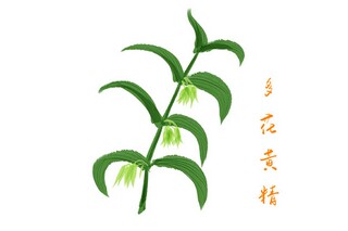 难忘的经历的作文_难忘的经历的作文450字骑自行车