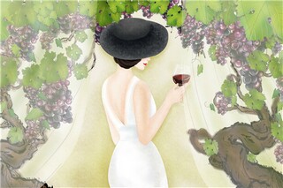 陈从周说“屏”原文
