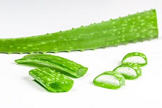 青春作文_青春作文初中