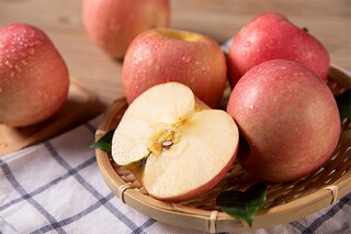 朋友作文400字_四年级我的动物朋友作文400字