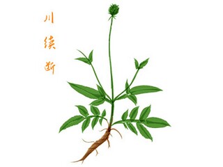 操场作文400字（操场作文400字4年级下册）