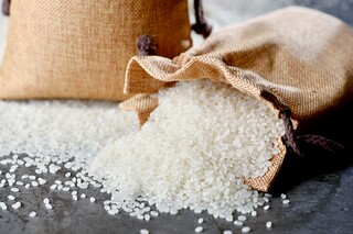 弘扬劳模精神演讲稿(弘扬劳模精神演讲稿2025年)