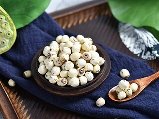 名言警句素材（名言警句素材摘抄）