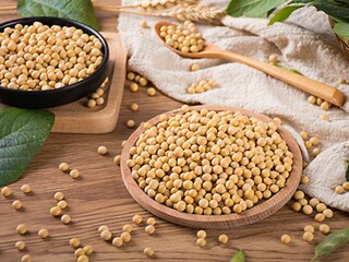 追求作文_梦想与追求作文