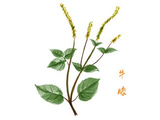 哄老婆的搞笑幽默句子