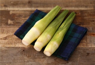 1000字作文——我爱冬天（我爱冬天一篇作文）