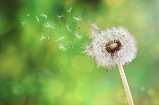 给朋友的元宵节微信祝福语（元宵节怎么给朋友祝福）