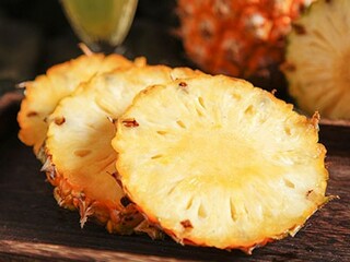 观察吊兰作文（观察吊兰作文500字植物怎么写的）