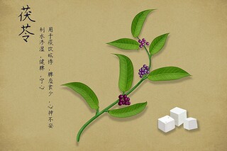 女人安慰自己的话语