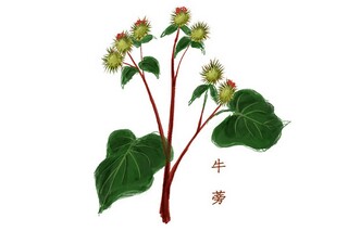 苏轼写山林的诗词_苏轼描写山水的诗有哪些_