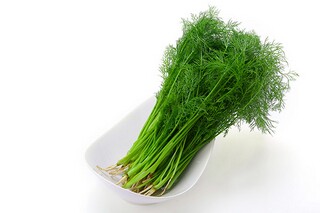 研究生学院鉴定评语_研究生学院鉴定评语100字左右