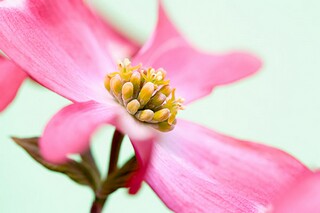 不变的是亲情作文_不变的是情谊 作文