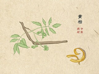 留在“青春集”里的小事_初中记叙文