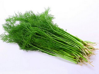 描写小暑的文艺句子_描写小暑的文案