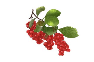 悟道无边的搞笑打油诗_悟道无边的搞笑打油诗大全