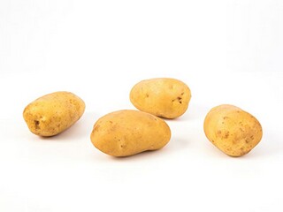 幼儿大班美术课教案《手型创意》_大班美术手形创意画设计意图