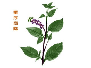 一群可爱的人散文（一群可爱的人散文怎么写）