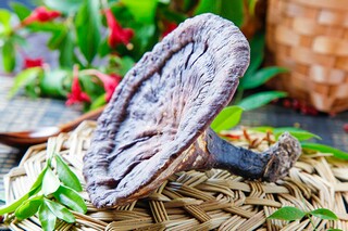 写爱情伤感的诗句