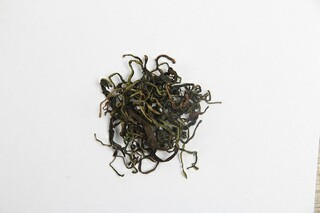 春节诗歌朗诵稿_春节 诗朗诵
