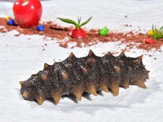 体育生高考宣誓口号(体育生体考誓词)