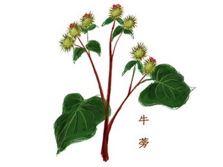 12月的唯美文案
