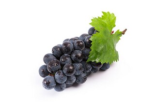 在亲情中成长作文（搜索一篇在亲情中成长的作文）