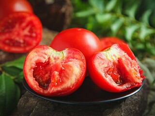 用一本正经造句_用一本正经造句30个字三年级