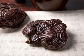 感恩主题教育方案（感恩教育主题班会方案）