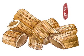 格列佛游记读后感_格列佛游记读后感500字左右