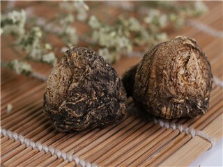 好句子的摘抄（有哪些好词好句子的摘抄）