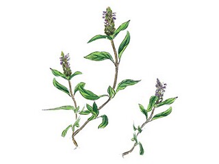 王昌龄抒写送别的古诗词_王昌龄笔下的送别诗