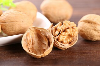 小鸟的自述作文（小鸟的自述450字）