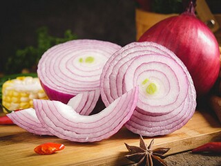 栀子花作文（栀子花作文600字）