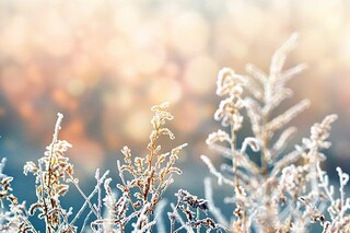 长胖了的幽默心情说说100条(长胖了的幽默心情说说100条图片)