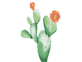 广东有哪些大学_广东有哪些大学排名一览表