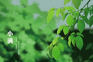 蕴含哲理的古代诗句_蕴含哲理的古代诗句大全