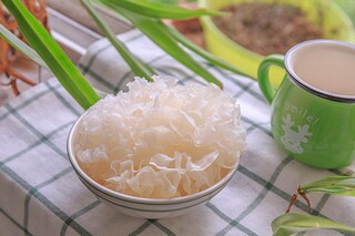 桂花作文共（搜索桂花作文）