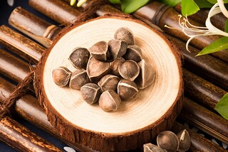 羚羊木雕的读后感