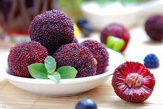 最美的花800字-状物作文（最美的 花）