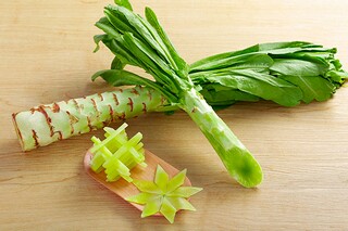 海棠作文500字_海棠作文400字左右