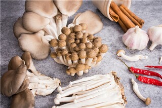 黄河的诗句_刘禹锡写黄河的诗句