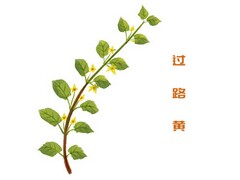 河中石兽注音加翻译_河中石兽 词类活用