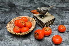 桥教案_桥教案设计