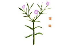 撤销处分申请书打架_撤销处分申请书