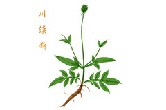 四月你好的唯美句子简短