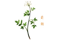 春天押韵的句子_描写春天的押韵句子