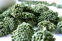 初中开学写自我介绍内容_开学自我介绍怎么写初中生200字