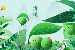 《弹性物品》教案(有趣的弹性物品大班教案)